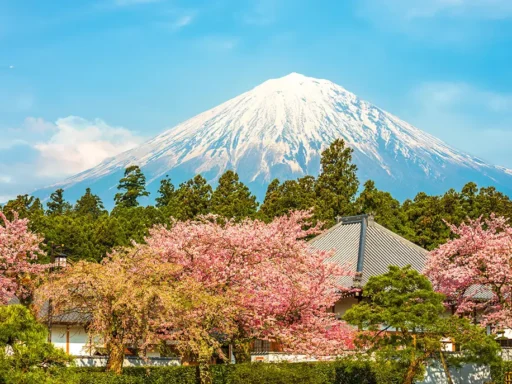 Mount Fuji with a snow-capped peak surrounded by cherry blossom trees and traditional Japanese buildings under a bright blue sky.